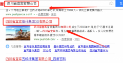 四川省宜賓普什集團3D有限公司與我司做網站推廣項目