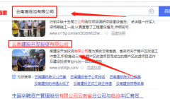 云南*投開發(fā)投資有限公司網站建設創(chuàng)意網站效果展示