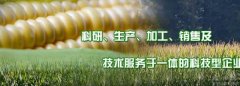 吉林省天*固種業有限責任公司網站建設可視化建站作品欣賞