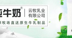 紅河云*乳業(yè)有限公司綠色系網(wǎng)站建設給你設計靈感