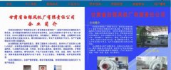 甘肅省白銀*機廠有限責任公司網頁設計展示型案例作品